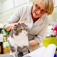 Shropshire Cat Club 25-2