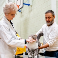 Shropshire Cat Club 25-3