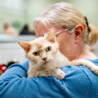 GCCF Shropshire 26-11