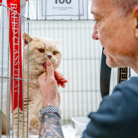 GCCF Shropshire 26-17