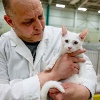 GCCF Shropshire 26-2