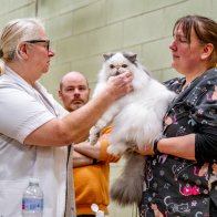 GCCF Shropshire 26-38