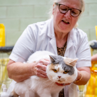 GCCF Shropshire 26-43