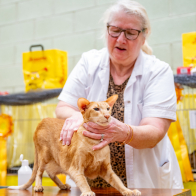 GCCF Shropshire 26-47