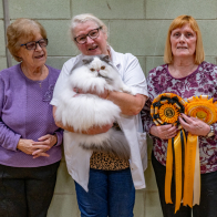 GCCF Shropshire 26-49