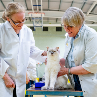 GCCF Shropshire 26-53