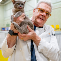 GCCF Shropshire 26-55