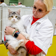 GCCF Shropshire 26-6