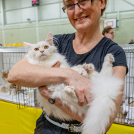 GCCF Shropshire 26-60