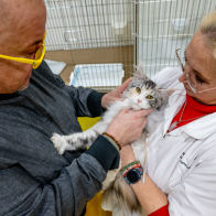 GCCF Shropshire 26-7