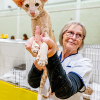 GCCF Shropshire 26-71