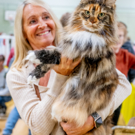 GCCF Shropshire 26-81