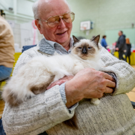 GCCF Shropshire 26-82