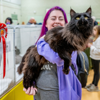 GCCF Shropshire 26-86