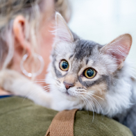 GCCF Shropshire 26-93