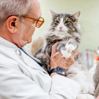 GCCF Shropshire 26-95